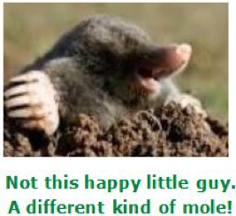 mole